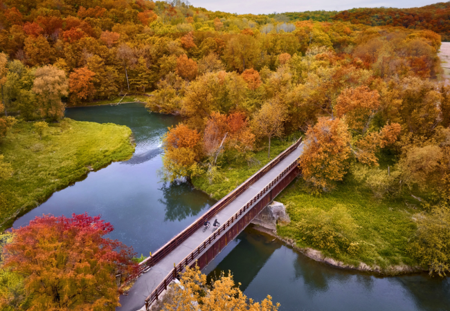 fall woods bike bridge 